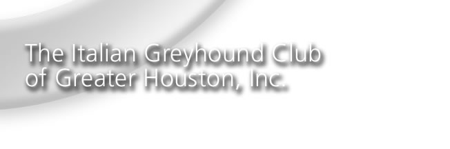 Italian Greyhound Club of Greater Houston